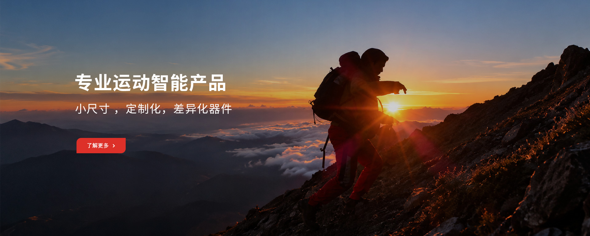 深圳市星华成电子有限公司
